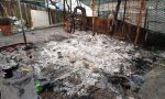 Incendio devasta la colonia felina: “C’è chi si diverte a distruggere”