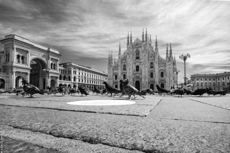 IO MILANO PIazza Duomo con piccioni