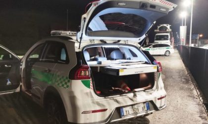 Rischia di investire i vigili, quando la fermano: "Scusate, pensavo foste degli ubriachi in mezzo alla strada"