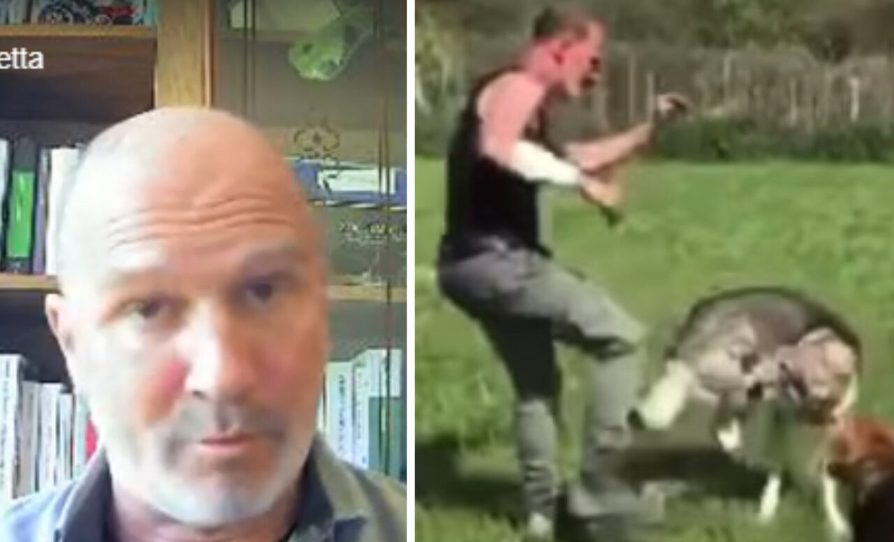 Il calcio dell’istruttore al cane indigna il web: furia del consigliere milanese