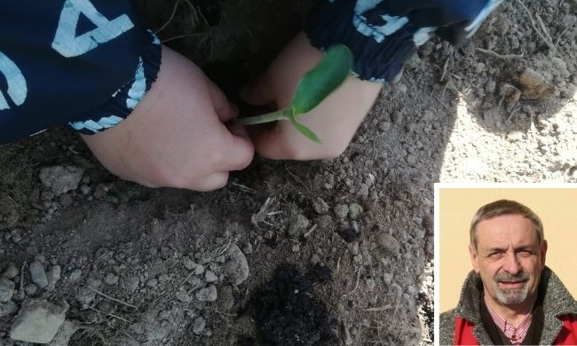 Progetti di inclusione in tempo di pandemia, anche a scuola si può