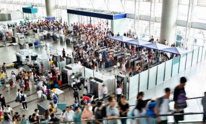 Intercettato a Malpensa un carico da 60 chili di cortecce allucinogene