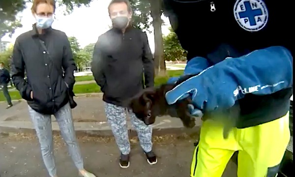 Gattino incastrato nel cofano di un’auto salvato dal volontario di Enpa Milano
