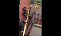 Cane appeso al balcone: il video del salvataggio in extremis dei Vigili del fuoco