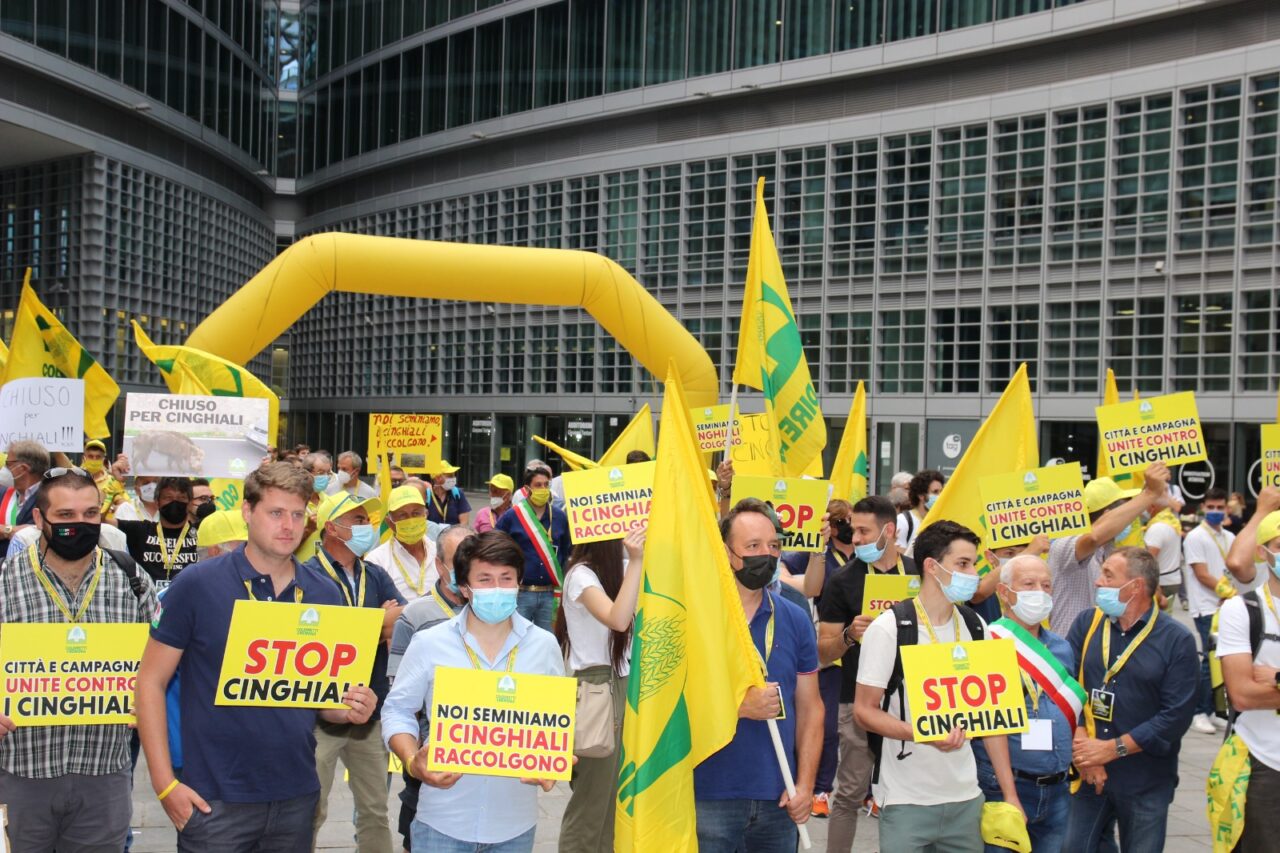 Emergenza cinghiali: centinaia di agricoltori in protesta sotto il Palazzo della Regione