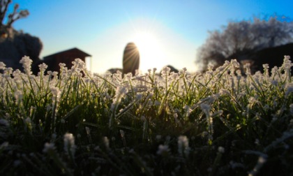 Ritorna l'alta pressione delle Azzorre ma minime sottozero | Meteo Lombardia