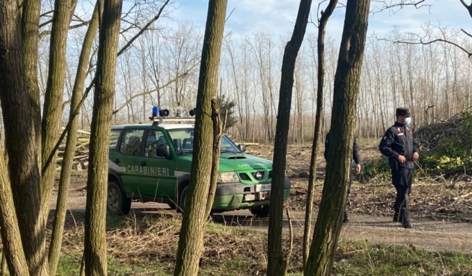 Operazione antibracconaggio della Forestale di Milano, sequestrate 81 allodole utilizzate come richiami vivi