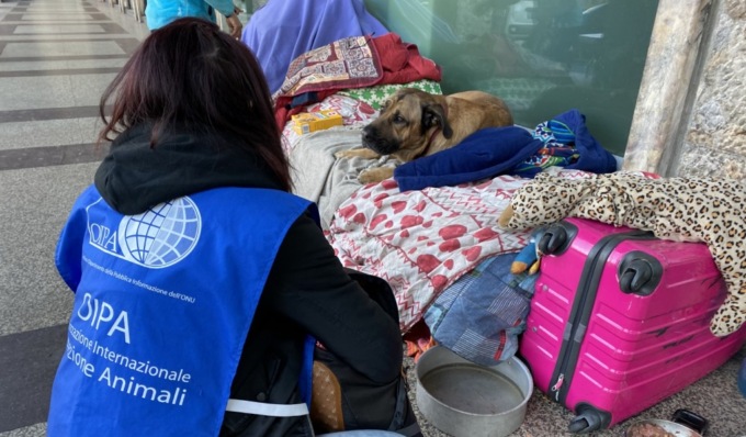 Grazie a Oipa Milano nasce il progetto di assistenza veterinaria gratuita per gli animali dei senza fissa dimora