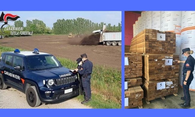 Carabinieri forestali: oltre 36mila controlli nel 2021, arresti e sequestri. Le attività dell’ultimo anno