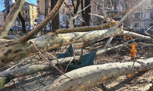 Troppo vento a Milano, il Comune chiude i parchi: “Evitare viali e spazi alberati”