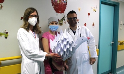 Ucraina, il regalo di Sofia al Gaetano Pini: un maxi origami a forma di cigno