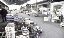 La 'ndrina Piromalli nel mercato ortofrutta di Milano: sequestrati beni per un milione di euro al clan