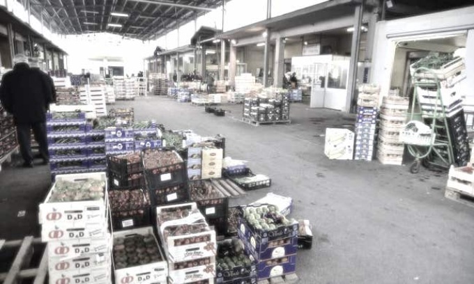 La ‘ndrina Piromalli nel mercato ortofrutta di Milano: sequestrati beni per un milione di euro al clan