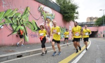 Adidas Runners PolimiRun Spring 2022: oltre 5mila adesioni a meno di un mese dalla gara