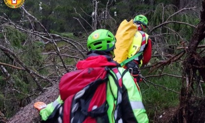 Scivola e ruzzola per 50 metri nel bosco: 80enne milanese ferito in montagna