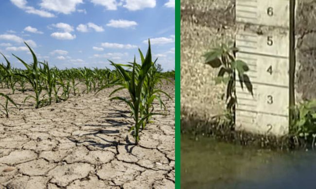 Allarme siccità: in Lombardia perso il 30% del raccolto. Fontana: “No a sprechi di acqua”