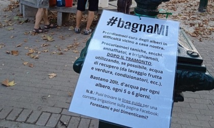 Le promotrici di #BagnaMI chiedono una commissione sulla manutenzione del verde di Milano