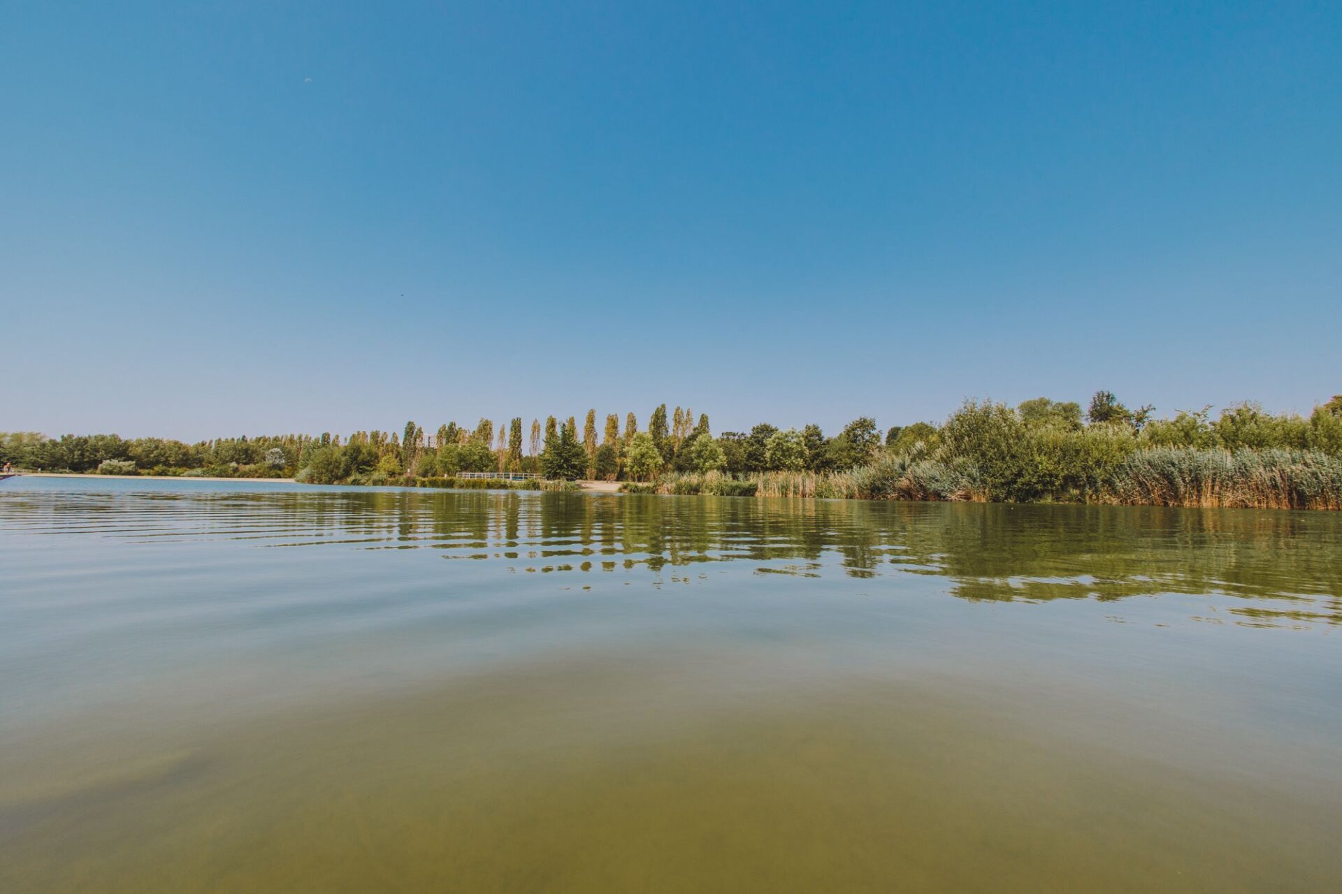 Acqua depurata per il Parco Nord (4)