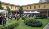 Cinque grandi cuochi pronti per il pranzo benefico