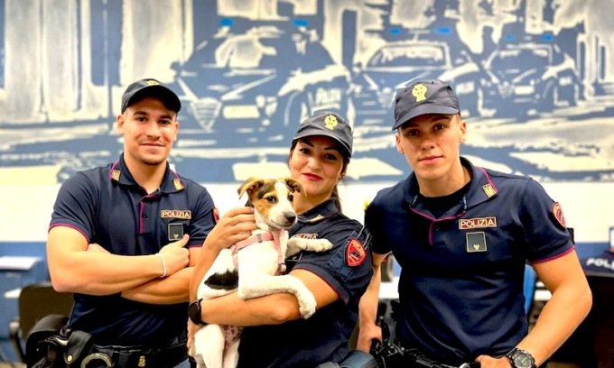 Lancia il suo cane sui binari della metro alla fermata Bisceglie: denunciato