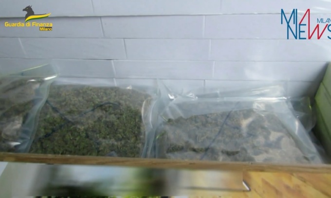 Traffico internazionale di droga: sequestrati 500 chili di droga, 42 arresti tra Italia e Spagna