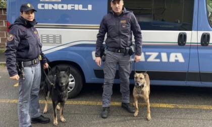 Blitz della polizia, arrestato uno spacciatore: nascondeva cocaina e hashish nel vano ascensore