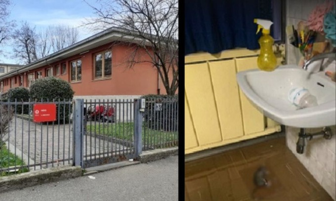 Scuola materna  Sant’Abbondio: l’allarme topi non cessa. Anche Ats conferma l’infestazione