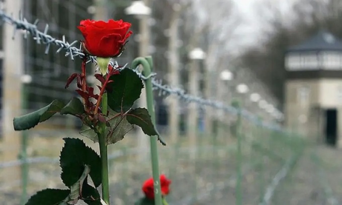 Giorno della Memoria a Milano: gli appuntamenti per non dimenticare