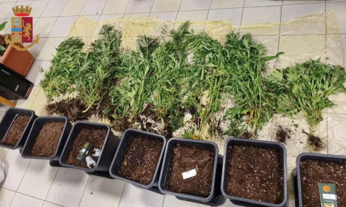 Coltivava marjuana in casa con la complicità della famiglia: arrestato 19enne