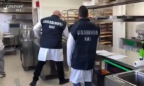 Infestazioni di insetti nelle mense di ospedali e strutture sanitarie, chiuse due cucine nel milanese