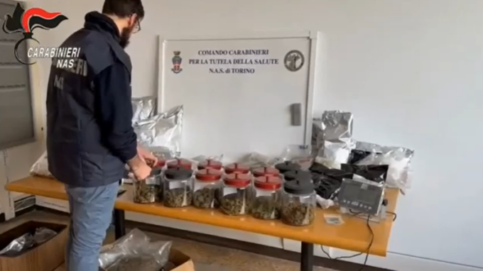 Dietro la facciata della canapa light, vendevano prodotti con alti valori di THC: sequestri anche a Milano