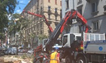 A Milano si lavora senza sosta: da liberare ancora 700 punti bloccati da alberi caduti