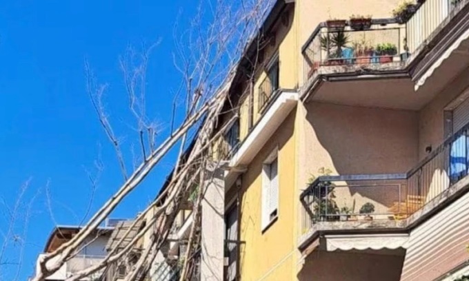 In via Gluck un grosso albero è crollato su un condominio