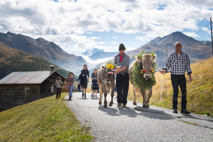 A Livigno si celebrano le tradizioni: ecco l’Alpenfest, due giorni di festa della transumanza