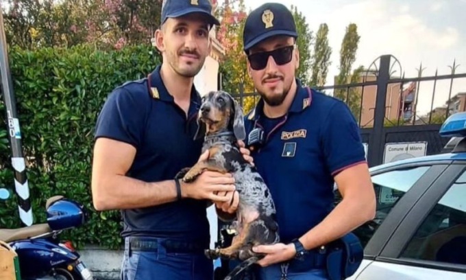 Bassotto scappa dalla padrona e si butta nel Naviglio: salvato da un poliziotto
