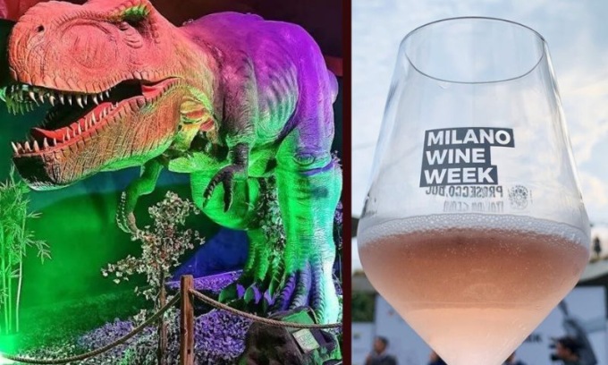 Cosa fare a Milano nel weekend: gli eventi di sabato 7 e domenica 8 ottobre 2023