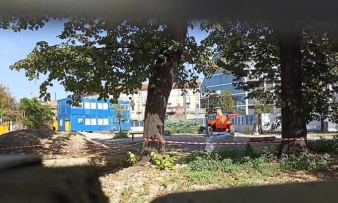 A Milano stanno abbattendo i tigli della discordia in piazza Baiamonti