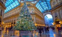 Ventidue alberi di Natale in città, in piazza Duomo si veste d'azzurro per le Olimpiadi: ecco dove trovarli