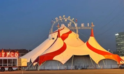 Arriva il circo con gli animali per le feste natalizie e si scatena la polemica