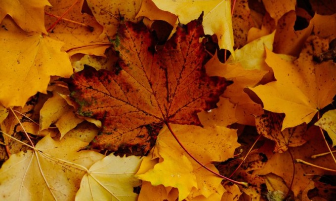 Milano ha registrato l’autunno più caldo di sempre: ottobre il mese più significativo