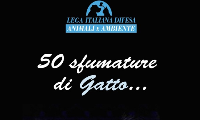 L’iniziativa per i nostri amici con la coda: l’ebook solidale per una lettura “buona”