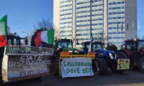 Protesta degli agricoltori, i trattori tornano al Pirellone con la mucca Ercolina