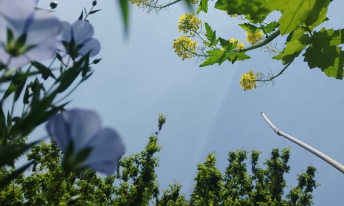 Museo Botanico, dal 2 marzo un nuovo programma di visite e laboratori