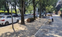 Nel Municipio 4 si combatte sosta irregolare e parcheggi selvaggi coi tronchi di alberi