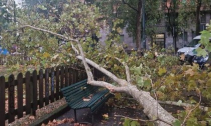 Danni a Milano per il maltempo: ascensori bloccati, alberi caduti e treni deviati