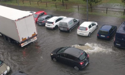 Maltempo: allagamenti, auto bloccate e alberi caduti per le strade della città