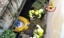 I pompieri salvano un capriolo caduto nel Naviglio e rimasto incastrato in un anfratto