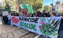 Fridays for Future e Greta Thunberg in piazza per giustizia climatica e solidarietà per la Palestina