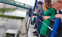 Inaugurato in Darsena "Seabin", il cestino galleggiante che pulisce l'acqua