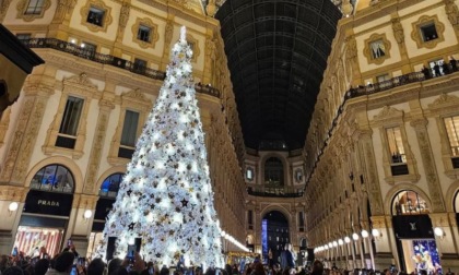 Acceso in Galleria l'albero di Natale di Dior Parfums